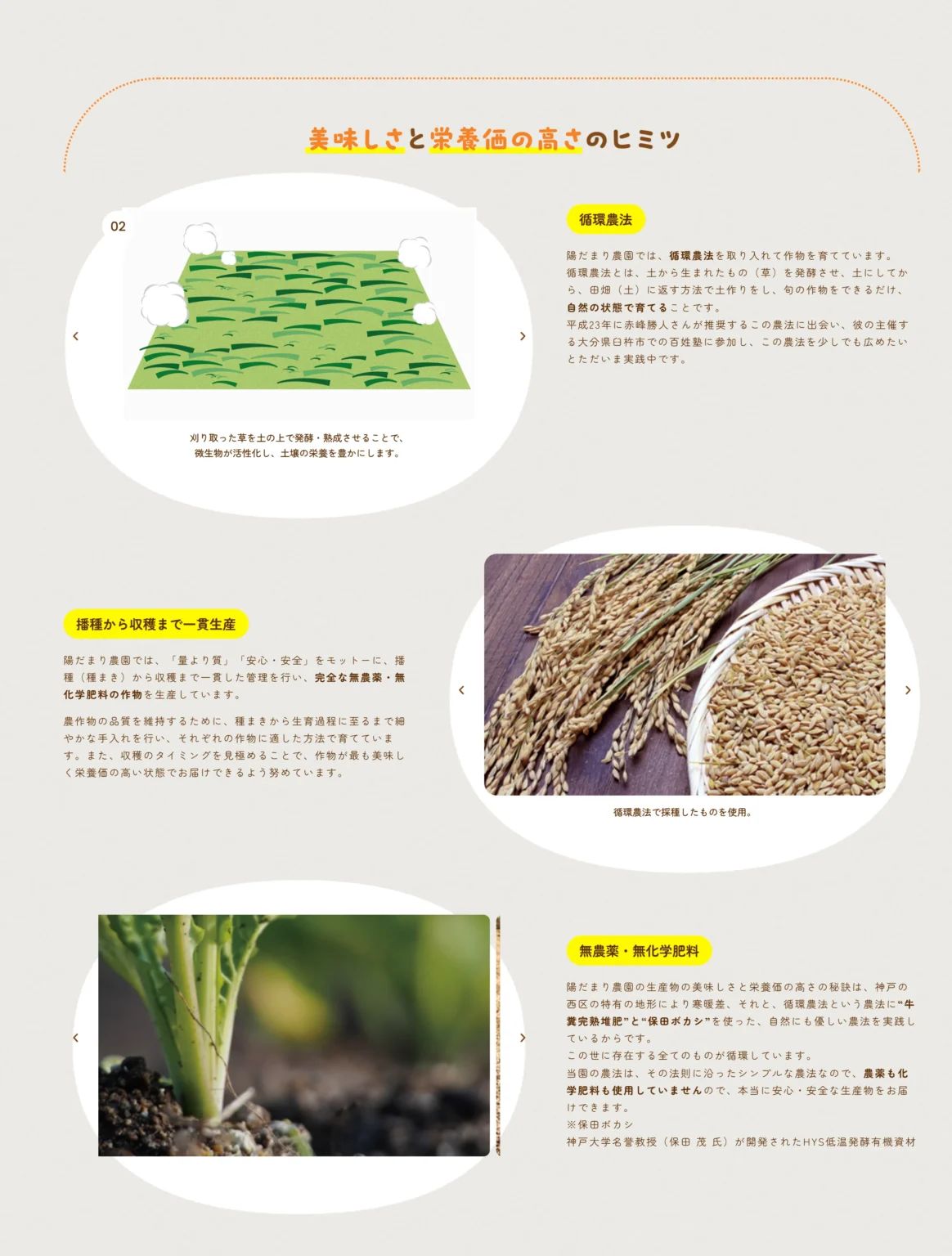 陽だまり農園 制作物 3